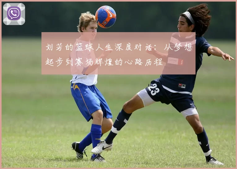 刘芳的篮球人生深度对话：从梦想起步到赛场辉煌的心路历程