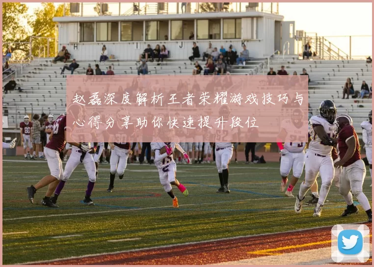 赵磊深度解析王者荣耀游戏技巧与心得分享助你快速提升段位