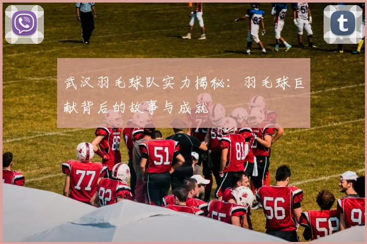 武汉羽毛球队实力揭秘：羽毛球巨献背后的故事与成就