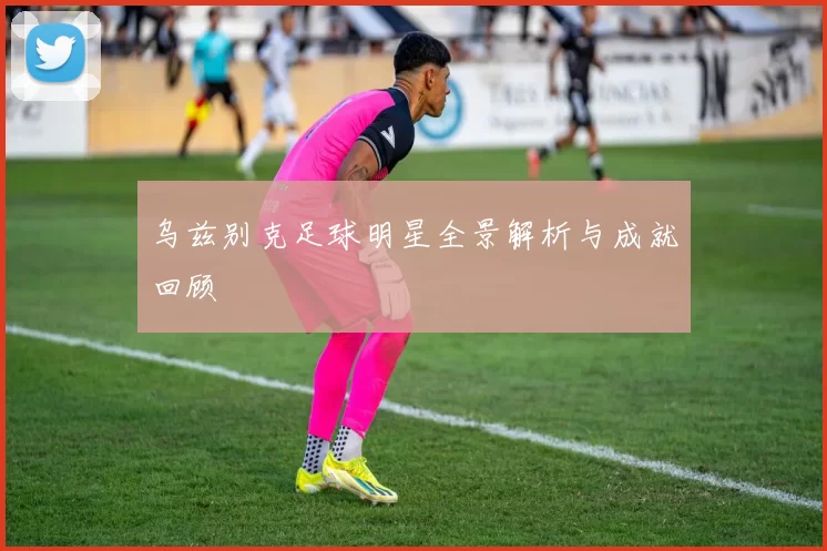乌兹别克足球明星全景解析与成就回顾