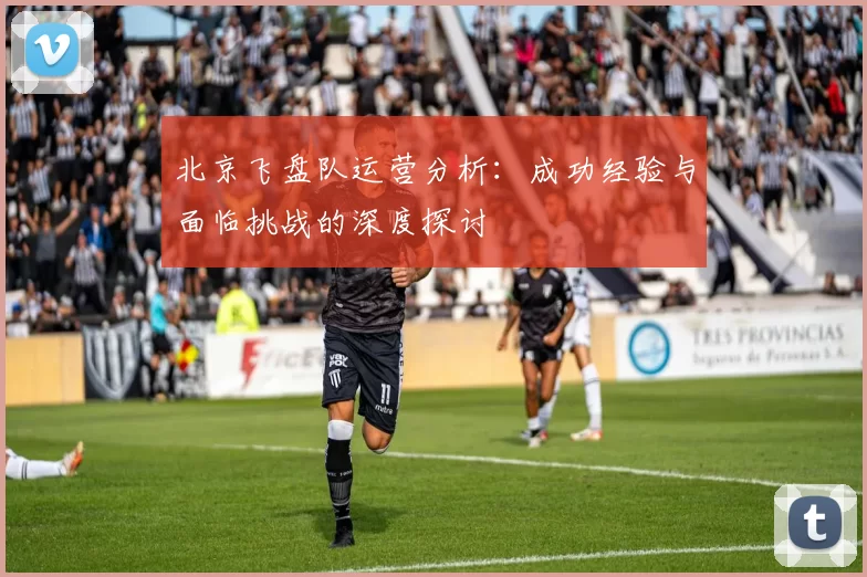 北京飞盘队运营分析：成功经验与面临挑战的深度探讨