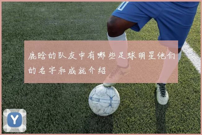 鹿晗的队友中有哪些足球明星他们的名字和成就介绍