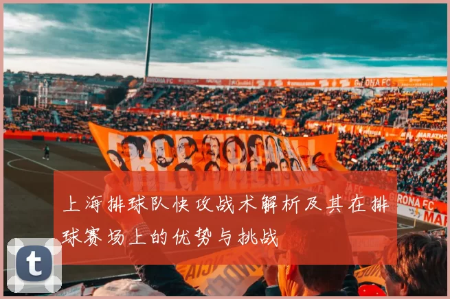 上海排球队快攻战术解析及其在排球赛场上的优势与挑战
