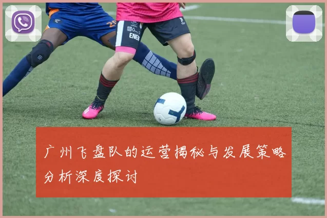 广州飞盘队的运营揭秘与发展策略分析深度探讨