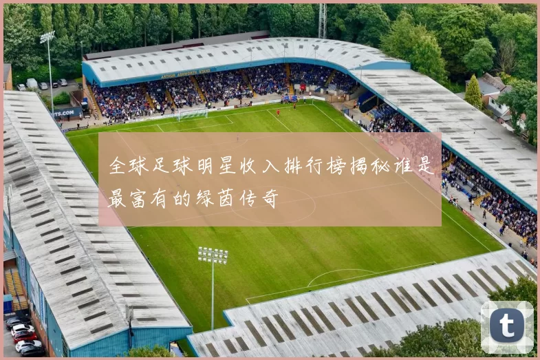 全球足球明星收入排行榜揭秘谁是最富有的绿茵传奇