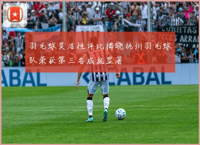 羽毛球灵活性评比揭晓杭州羽毛球队荣获第三名成就显著
