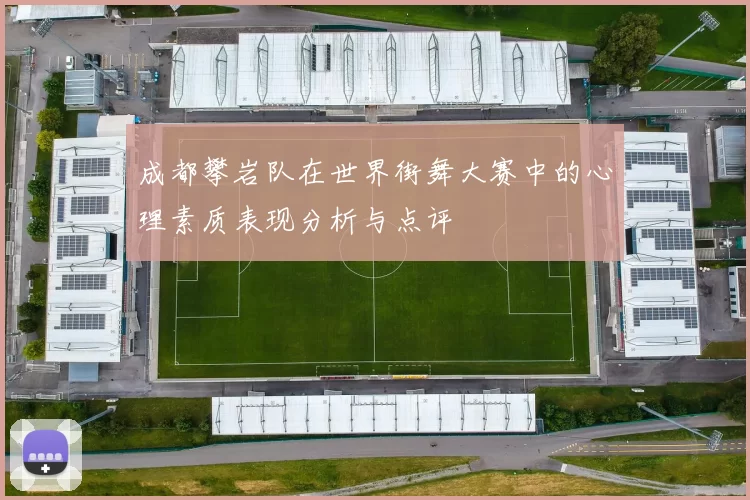 成都攀岩队在世界街舞大赛中的心理素质表现分析与点评