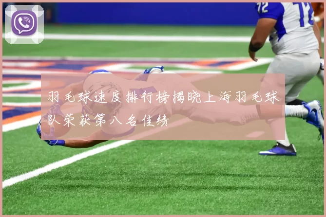 羽毛球速度排行榜揭晓上海羽毛球队荣获第八名佳绩