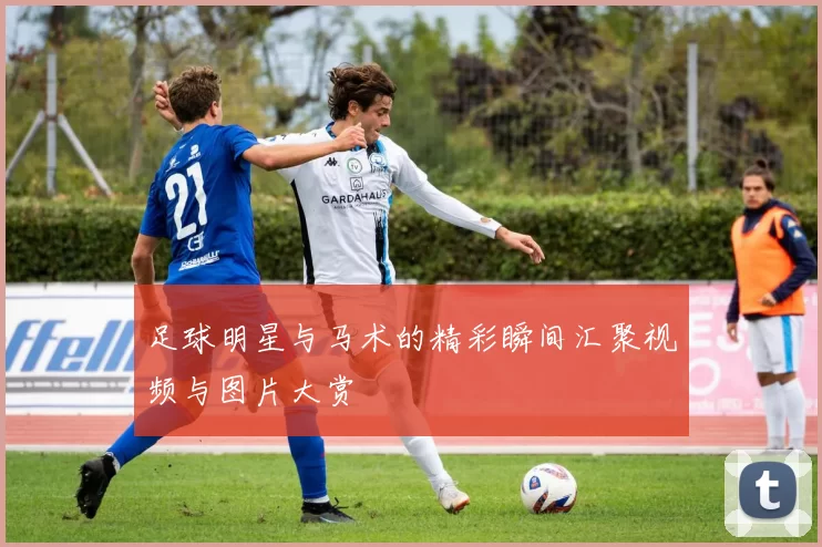 足球明星与马术的精彩瞬间汇聚视频与图片大赏