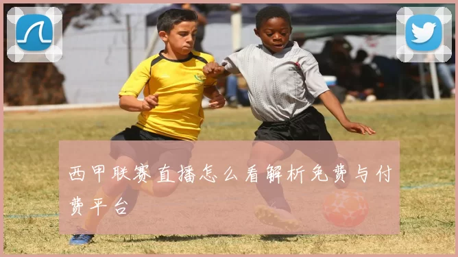 西甲联赛直播怎么看解析免费与付费平台