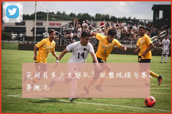 英超有多少支球队？联盟规模与赛事概况