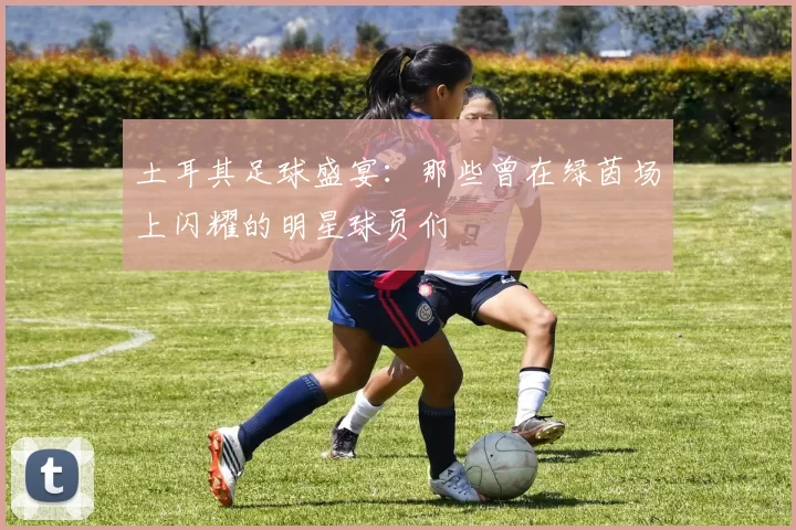 土耳其足球盛宴：那些曾在绿茵场上闪耀的明星球员们