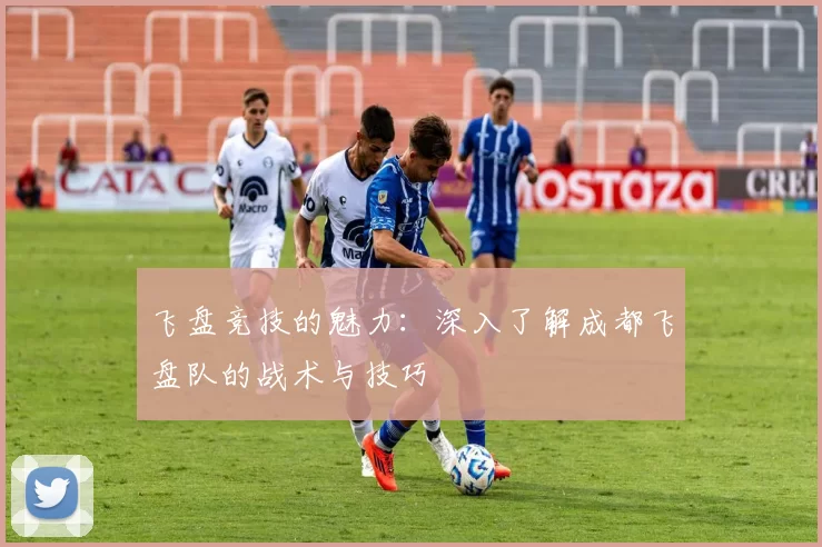 飞盘竞技的魅力：深入了解成都飞盘队的战术与技巧