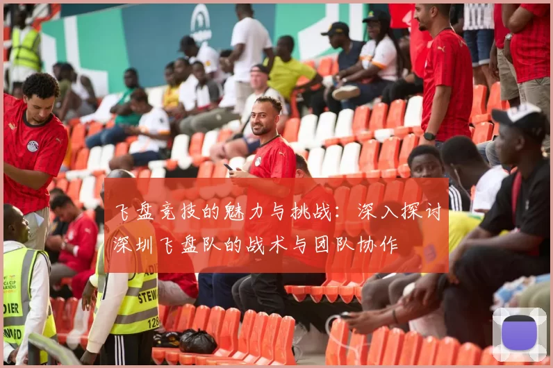 飞盘竞技的魅力与挑战：深入探讨深圳飞盘队的战术与团队协作