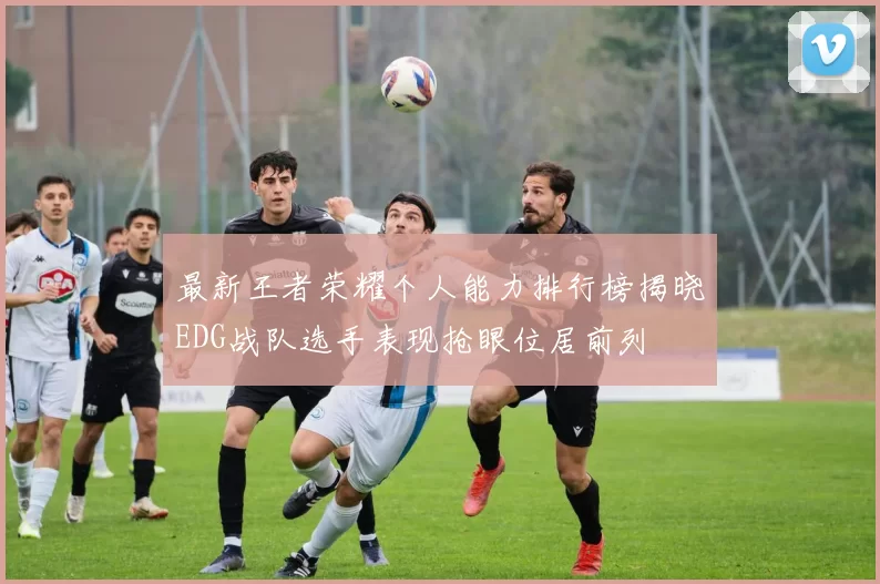 最新王者荣耀个人能力排行榜揭晓EDG战队选手表现抢眼位居前列