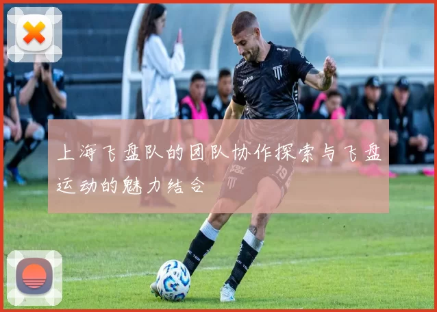 上海飞盘队的团队协作探索与飞盘运动的魅力结合