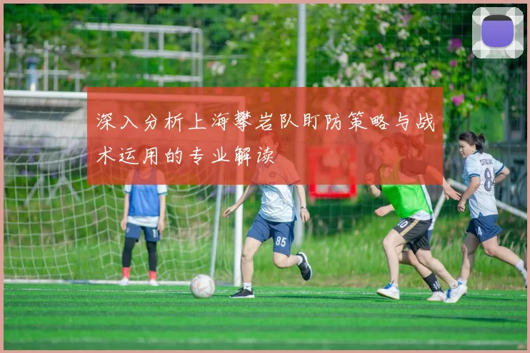 深入分析上海攀岩队盯防策略与战术运用的专业解读