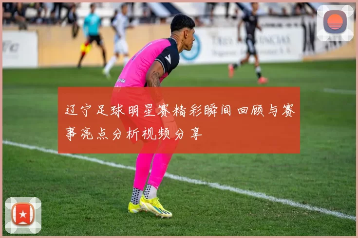 辽宁足球明星赛精彩瞬间回顾与赛事亮点分析视频分享