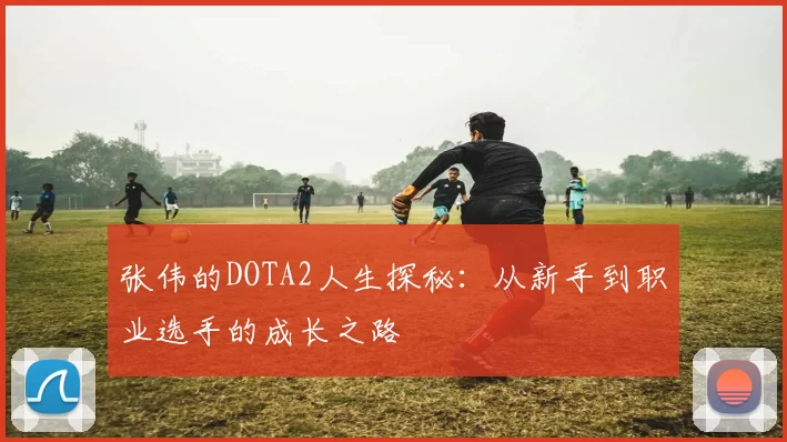 张伟的DOTA2人生探秘：从新手到职业选手的成长之路
